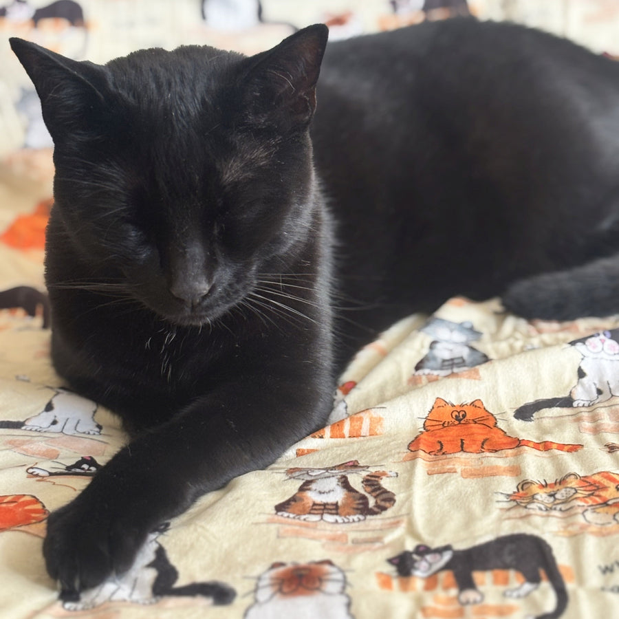 When the Cats Away Lap Rug