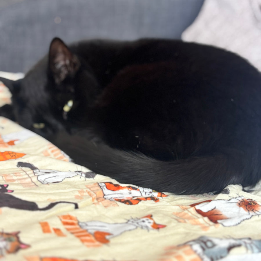 When the Cats Away Lap Rug