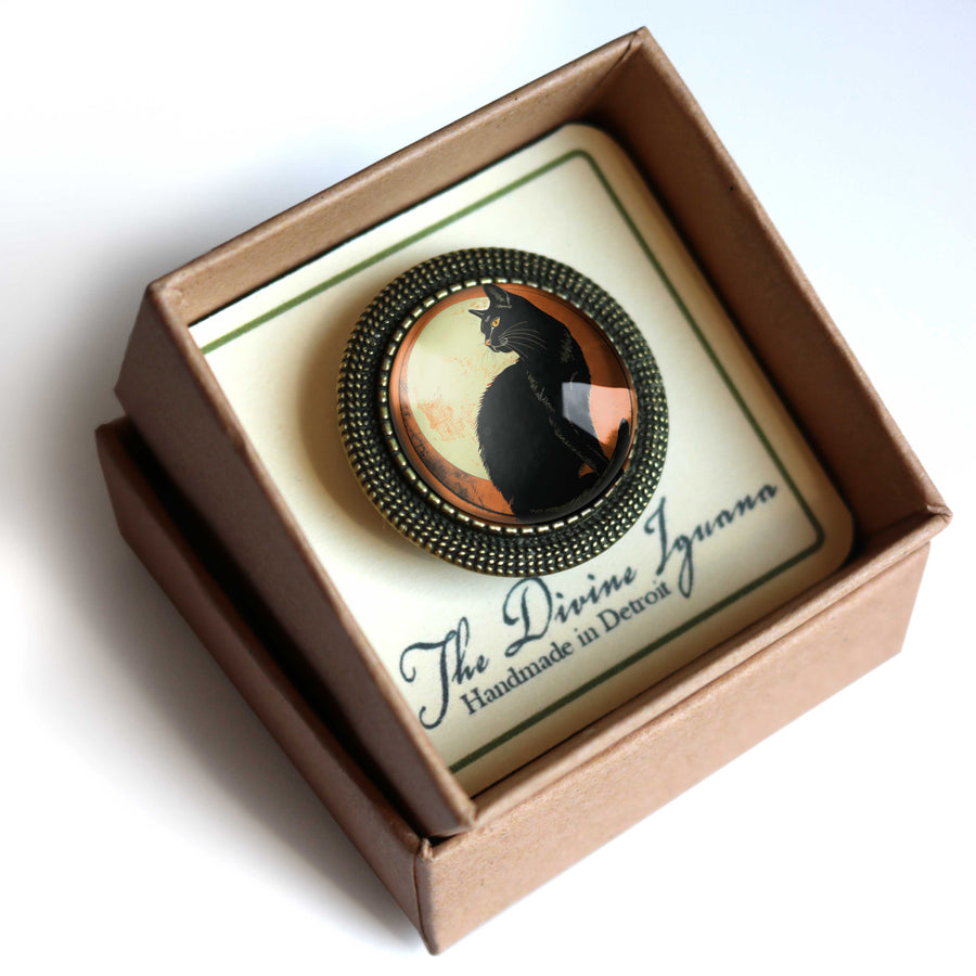 Black cat brooch in a decorative box with 'The Divine Iguana' branding