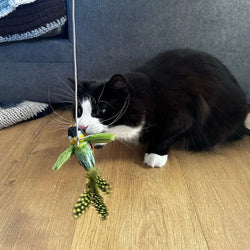 Chirping Birds Cat Toy on a string