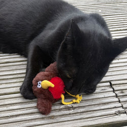 A black cat lying on weathered wooden decking, resting its head on a small plush toy with a red body, yellow beak, and yellow string.