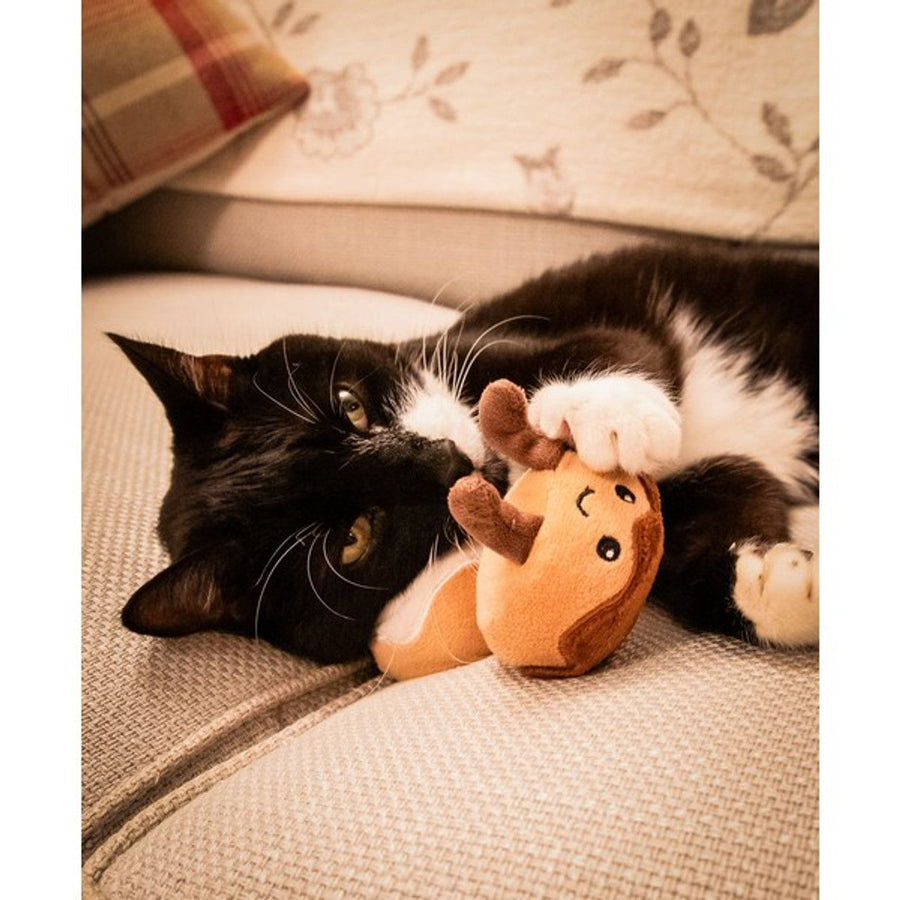 Cinnamon Bun Duo Catnip Toys