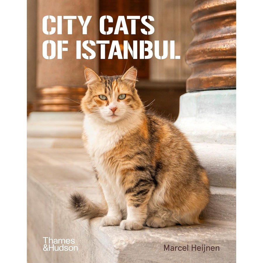 City Cats of Istanbul