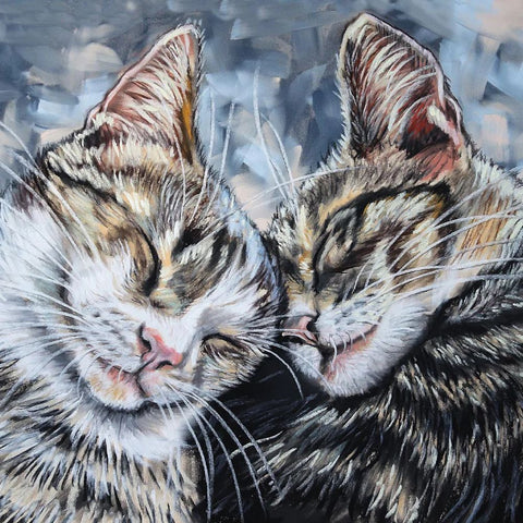 Other Cat Cards