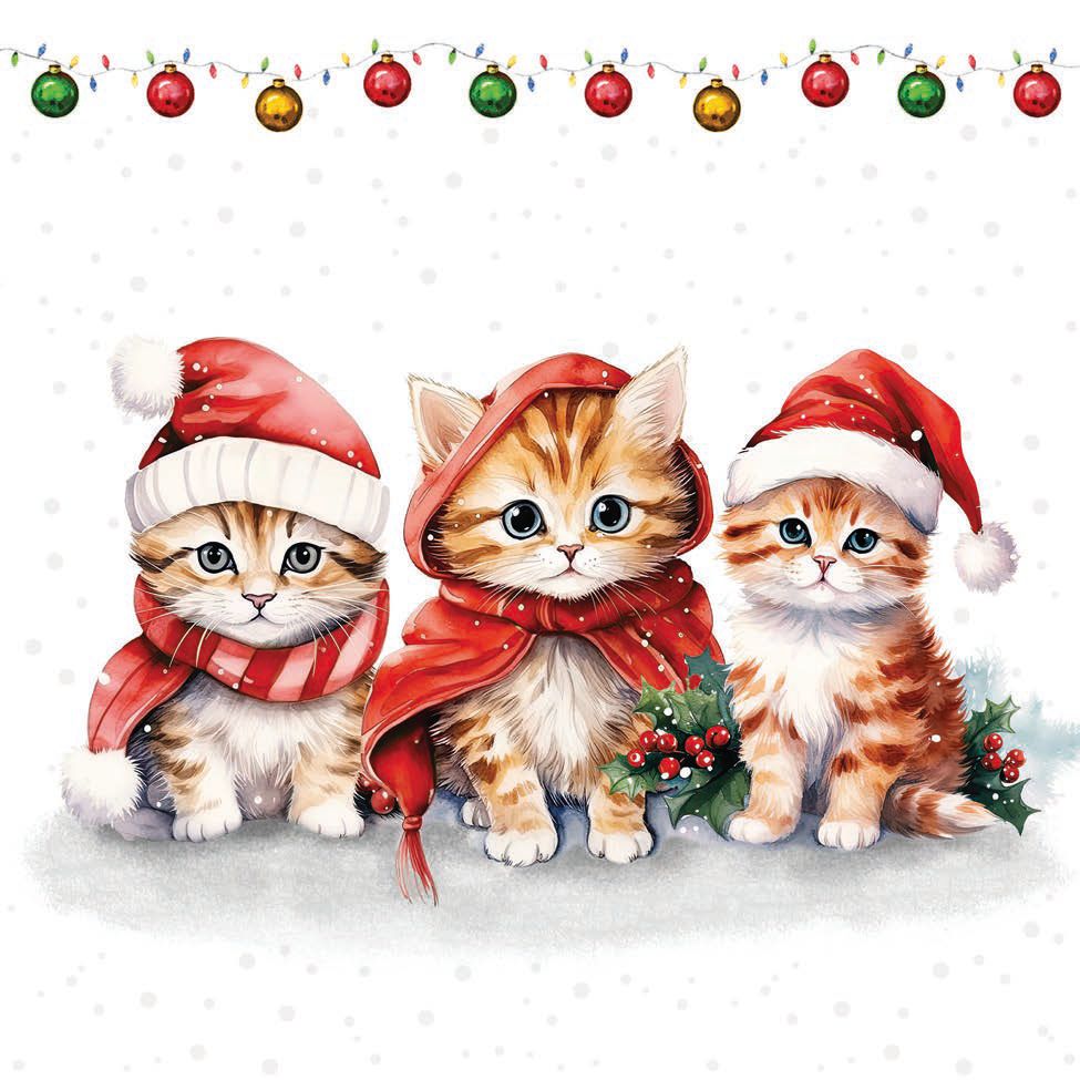 Cute Santa Kitty Napkins