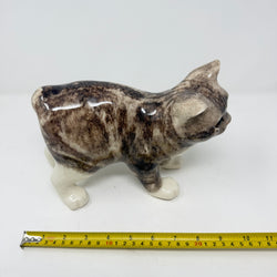 Winstanley Grey & White Manx Cat - Size 5