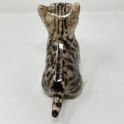 Winstanley Light Grey Tabby Cat Looking Up - Size 2