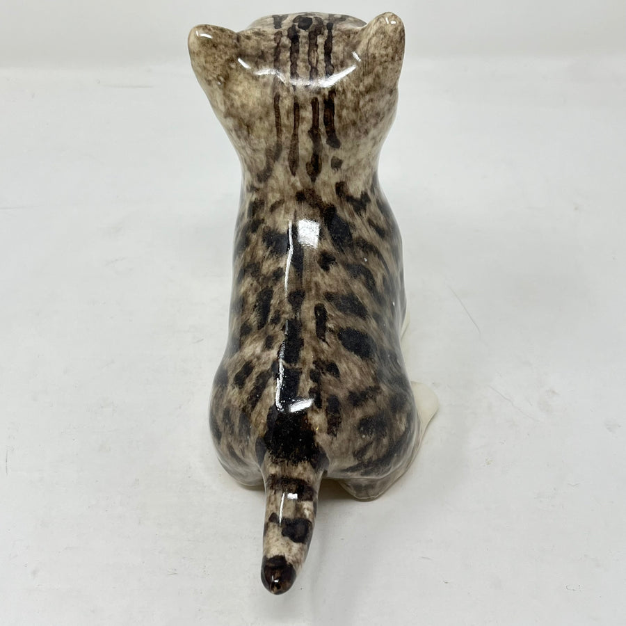 Winstanley Light Grey Tabby Cat Looking Up - Size 2