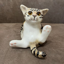 Winstanley Tabby & White Size 2