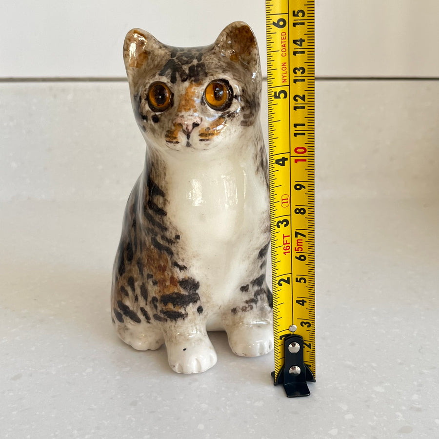 Winstanley Tabby and White Kitten - Size 1