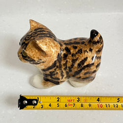 Winstanley Bengal Kitten - Size 1