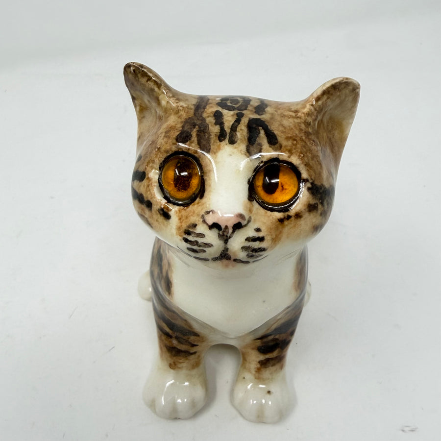 Winstanley Tabby & White Cat Looking Up Size 2