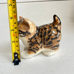 Winstanley Bengal Kitten - Size 1