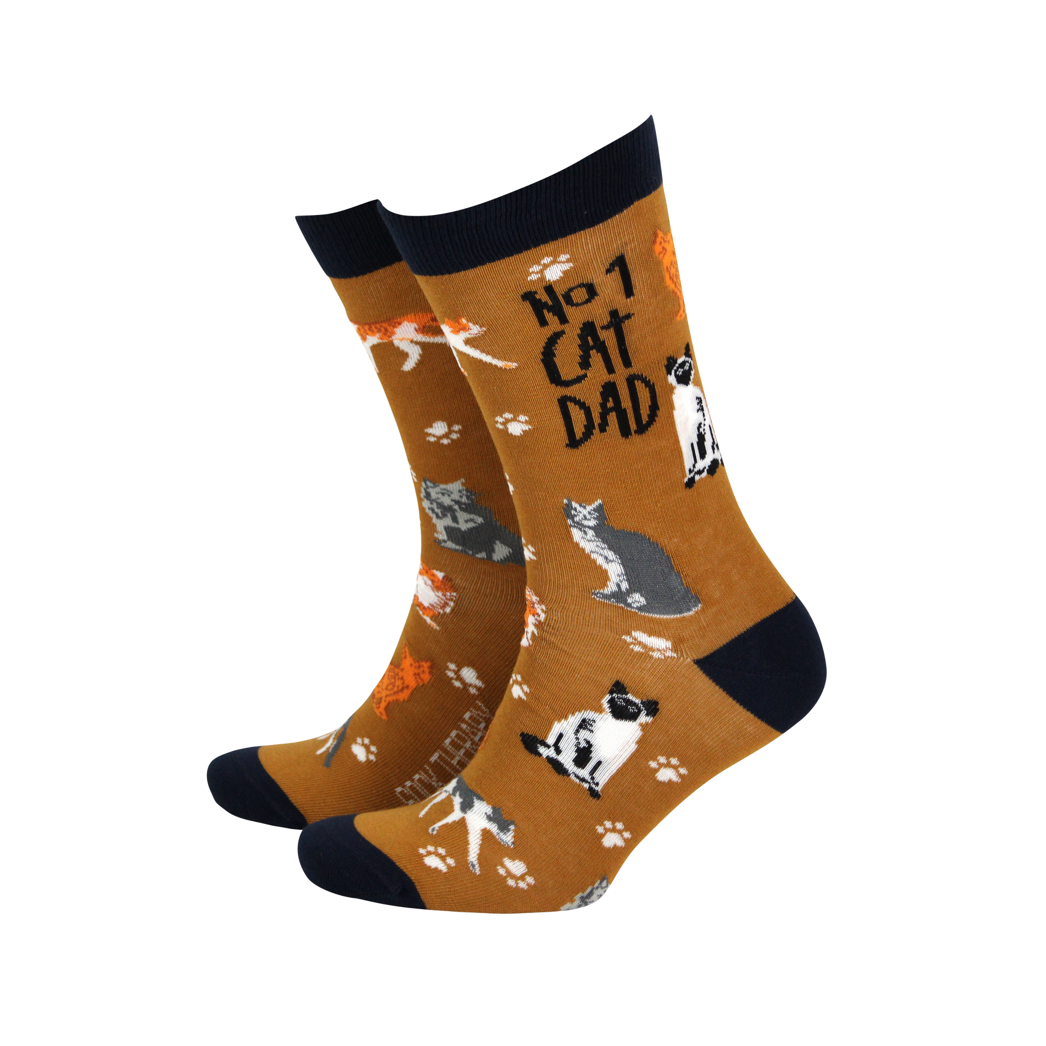 No.1 Cat Dad Bamboo Socks, The Cat Gallery