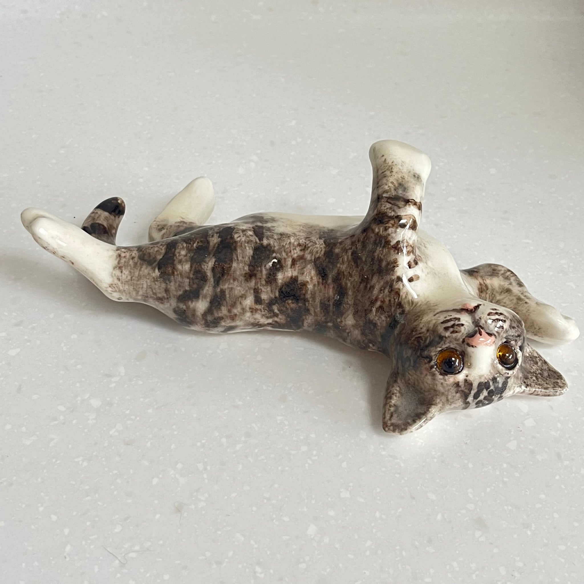 Winstanley Playful Grey and White Cat - Size 2