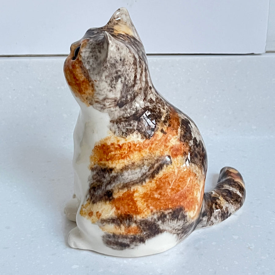 Winstanley Chubby Tortie - Size 3