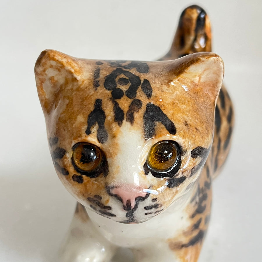 Winstanley Bengal Kitten - Size 1