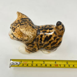 Winstanley Bengal / Tabby Cat - Size 1