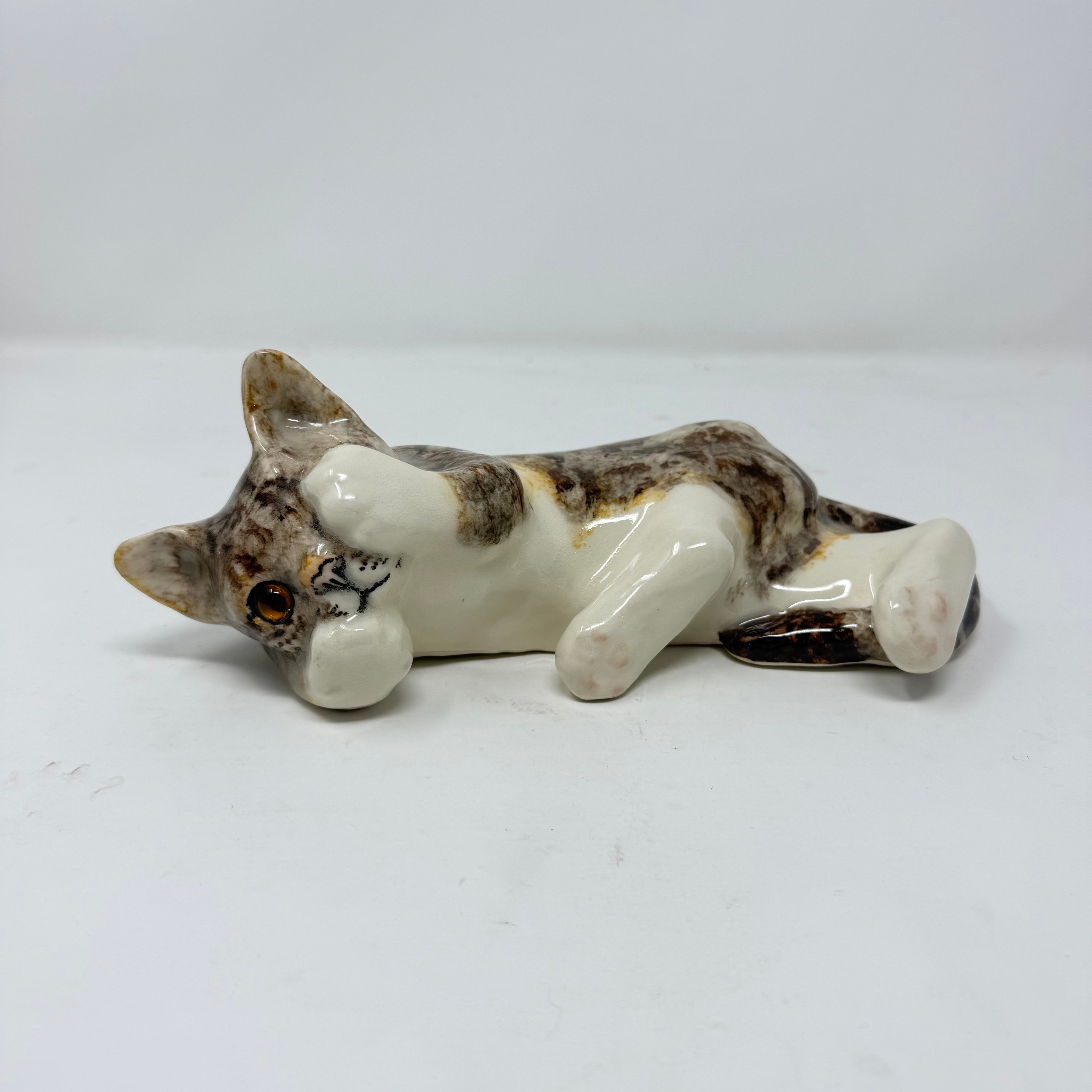 Winstanley Tabby & White Covering Eye - Size 3