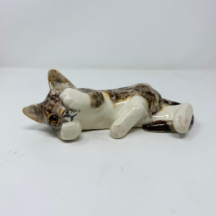 Winstanley Tabby & White Covering Eye - Size 3
