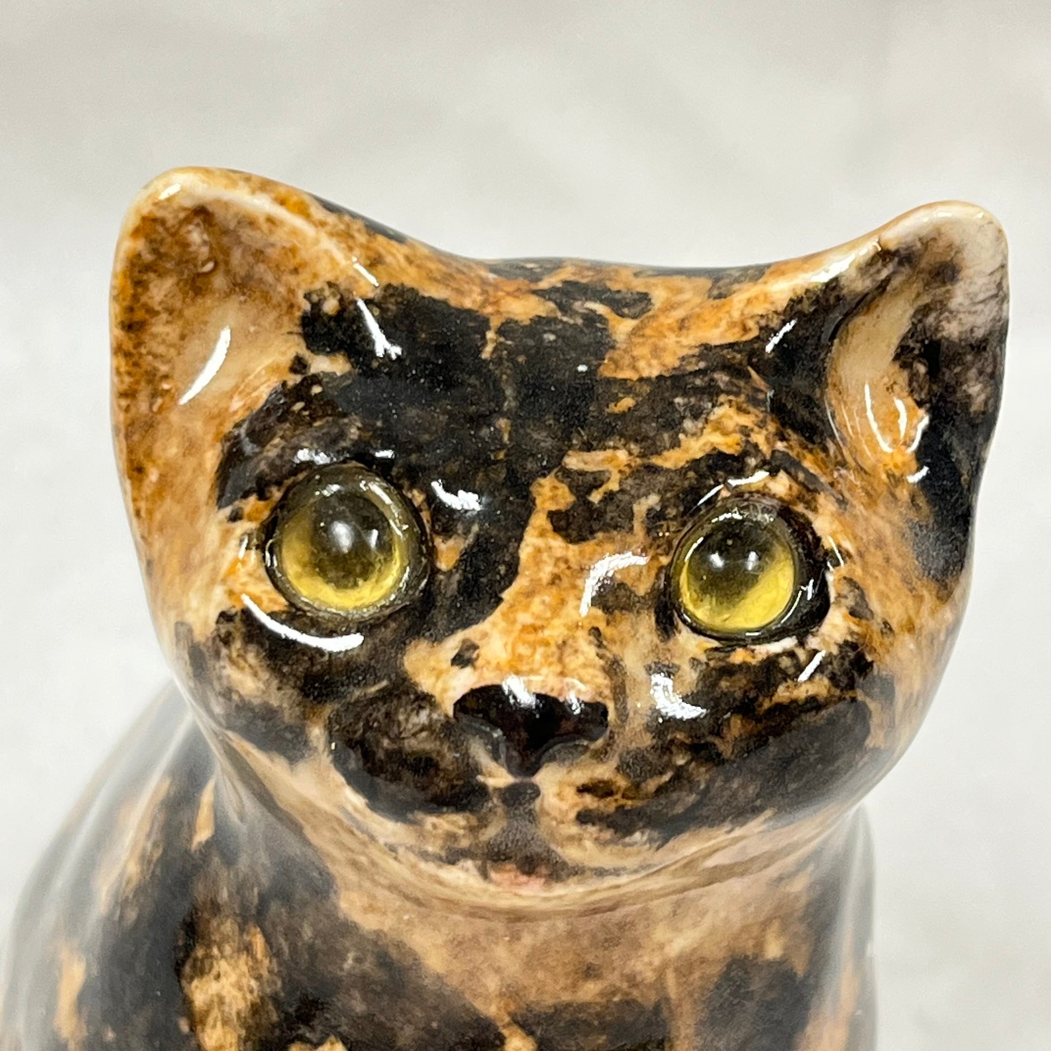 Winstanley Brindle Tortie Kitten - Size 1