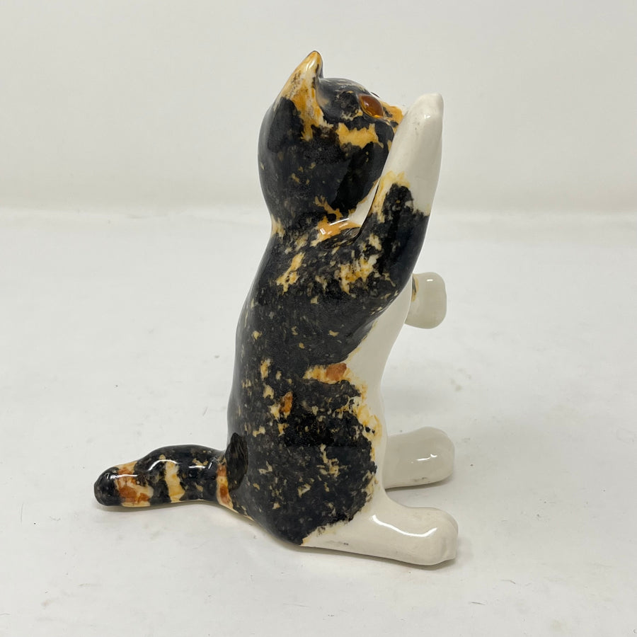 Winstanley Tortoiseshell Cat Paw Raised - Size 1