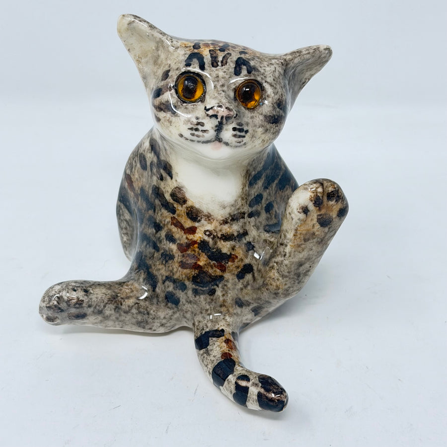 Winstanley Tabby Paws Cat Size 2