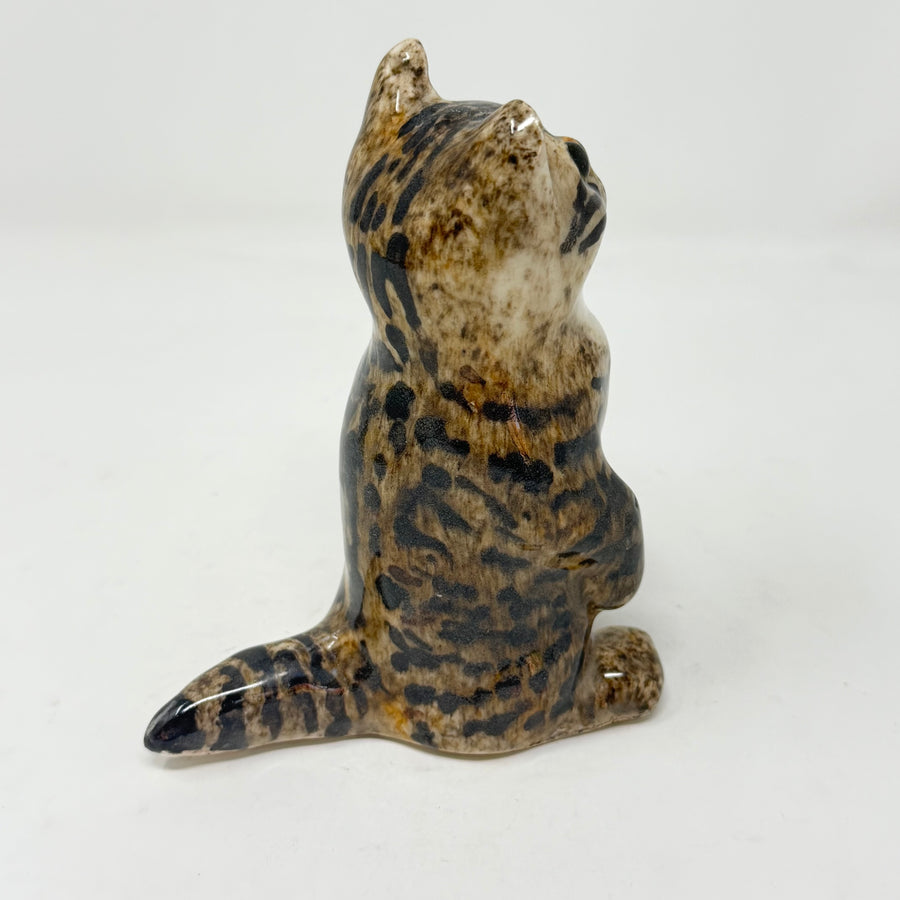 Winstanley Tabby Cat on Hind Legs - Size 1