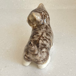 Winstanley Tabby, Brown and White Cat - Size 2
