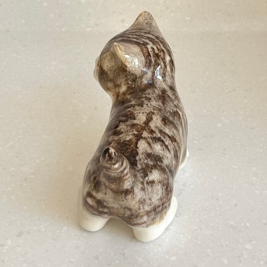 Winstanley Tabby, Brown and White Cat - Size 2