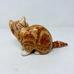 Winstanley Ginger & White Cat Size 2