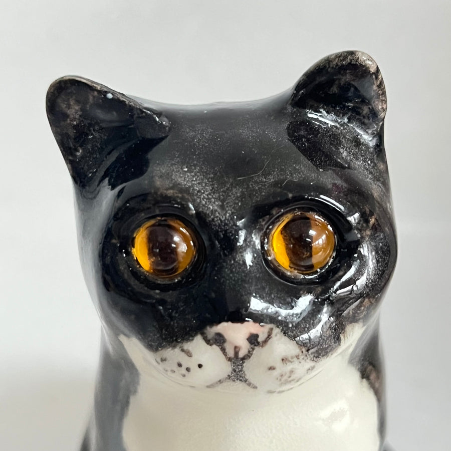 Winstanley Black and White Kitten - Size 1