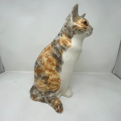 Winstanley Calico Cat Sitting - Size 7