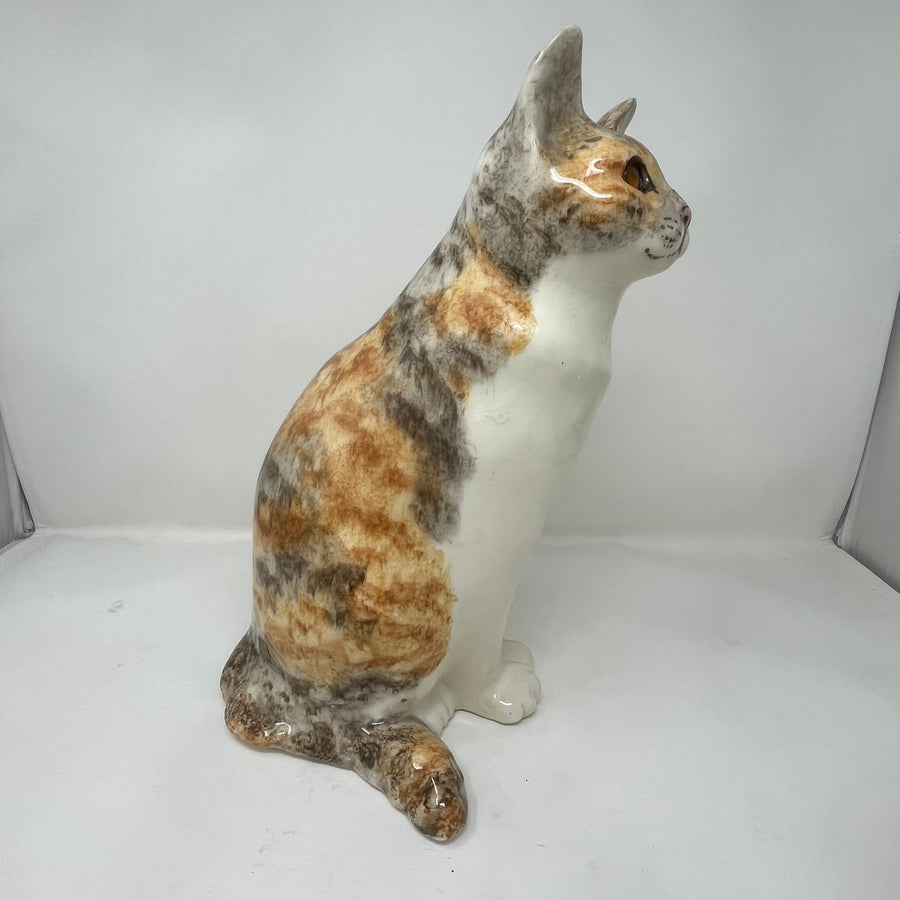 Winstanley Calico Cat Sitting - Size 7