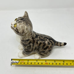 Winstanley Light Grey Tabby Cat Looking Up - Size 2