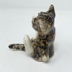 Winstanley Tabby Cat White Paws Size 2