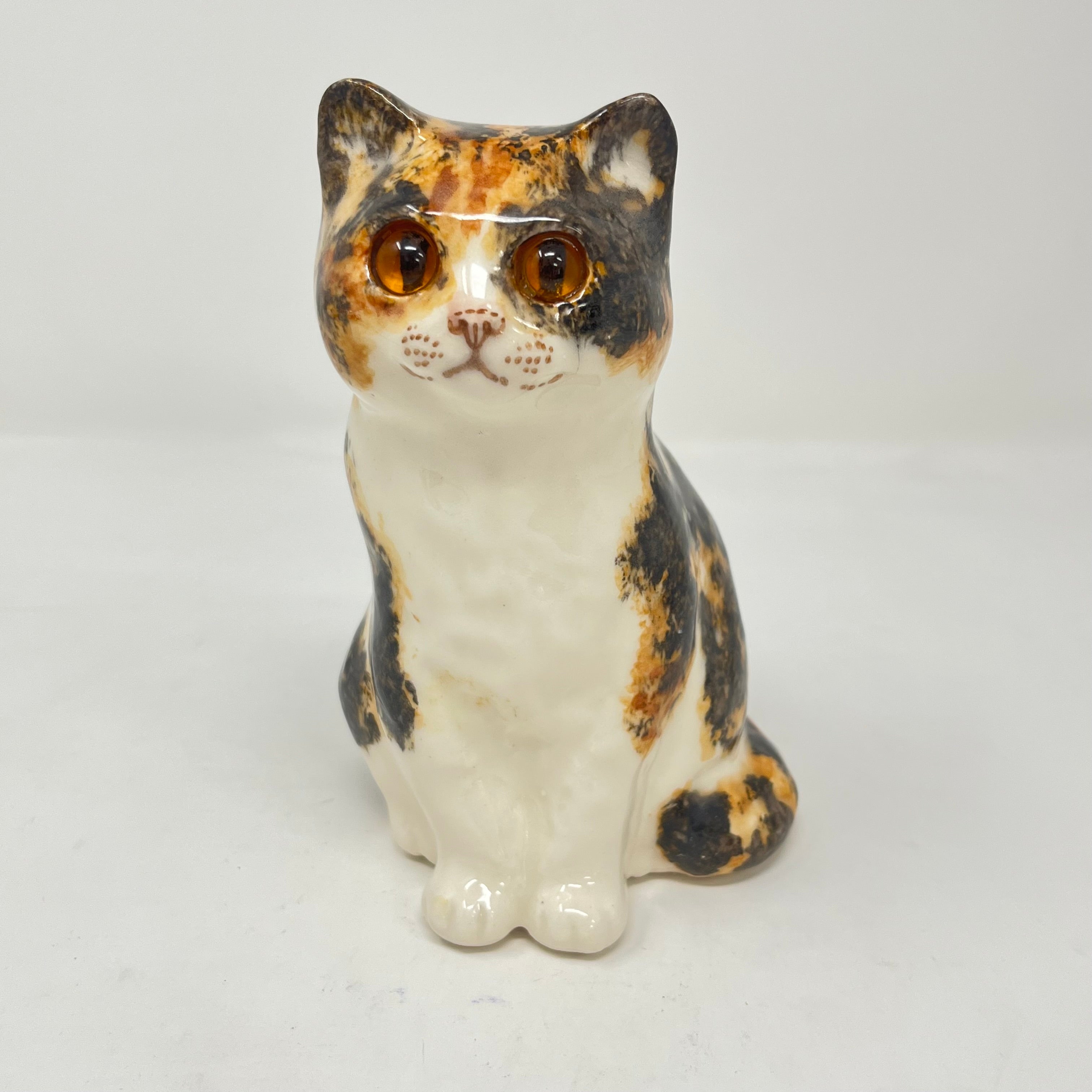Winstanley Tortie & White - Size 1