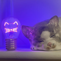 Cordless Pink Kitty Lightbulb