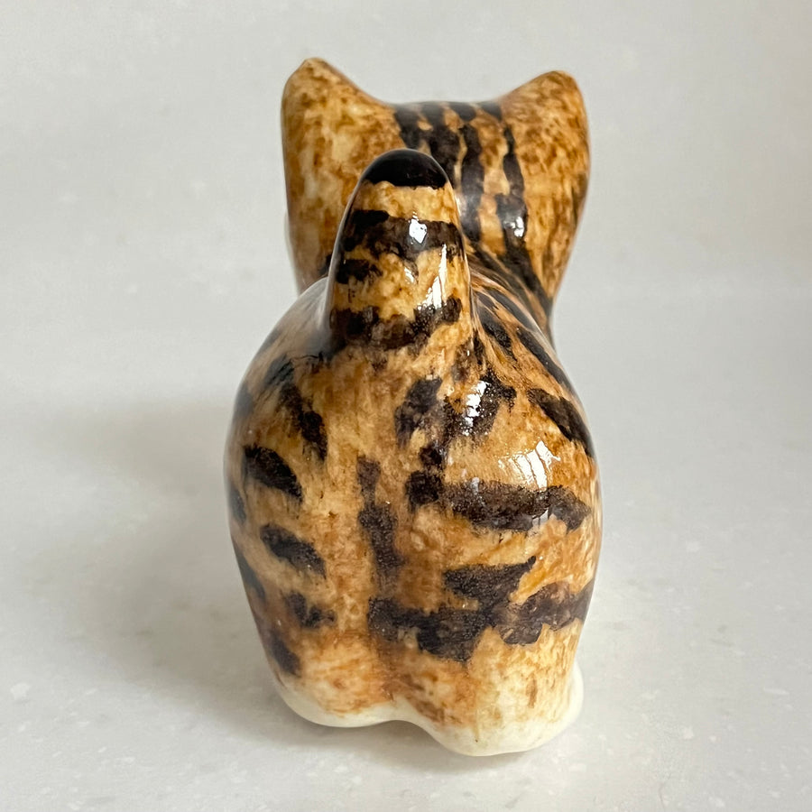 Winstanley Bengal Kitten - Size 1