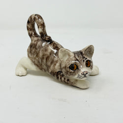 Winstanley Grey & White Playful Cat - Size 1