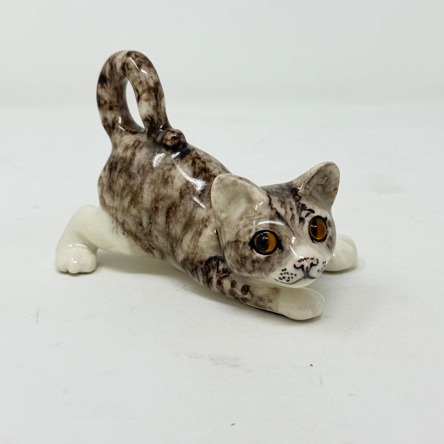 Winstanley Grey & White Playful Cat - Size 1