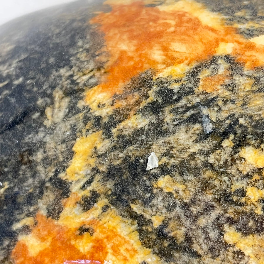 Winstanley Tortie Sitting Cat - Size 4