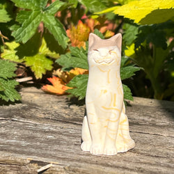 Tiramisu Original Lucky Kitten