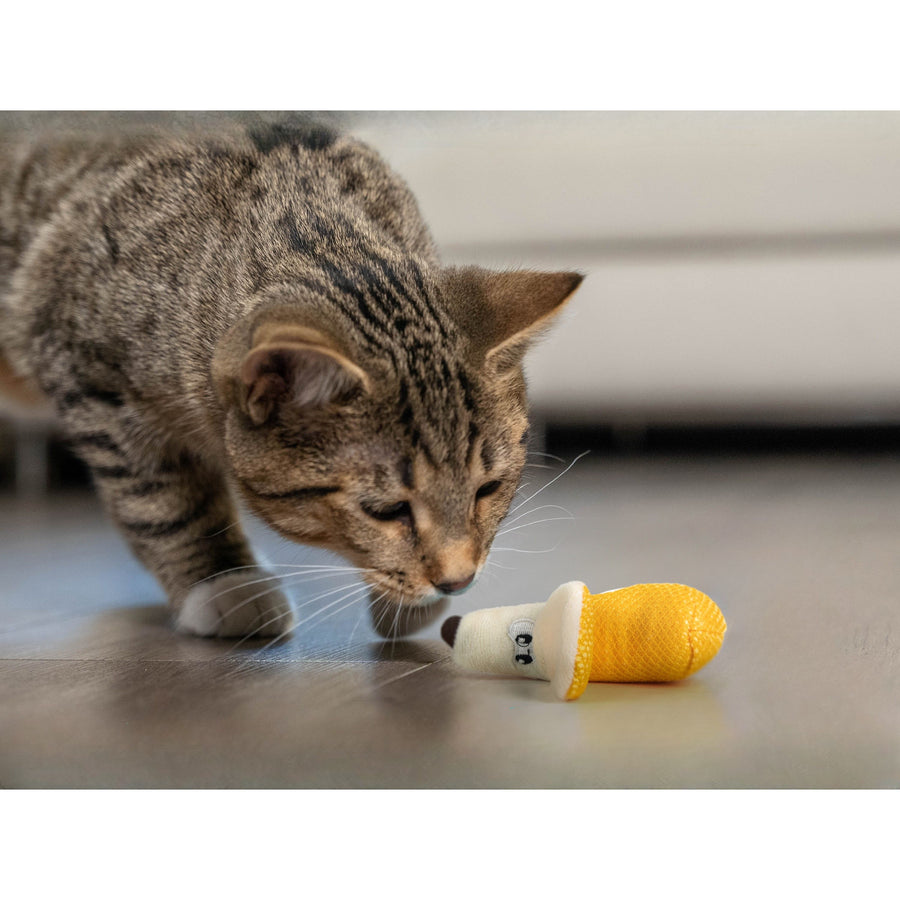Dental Banana Cat Toy