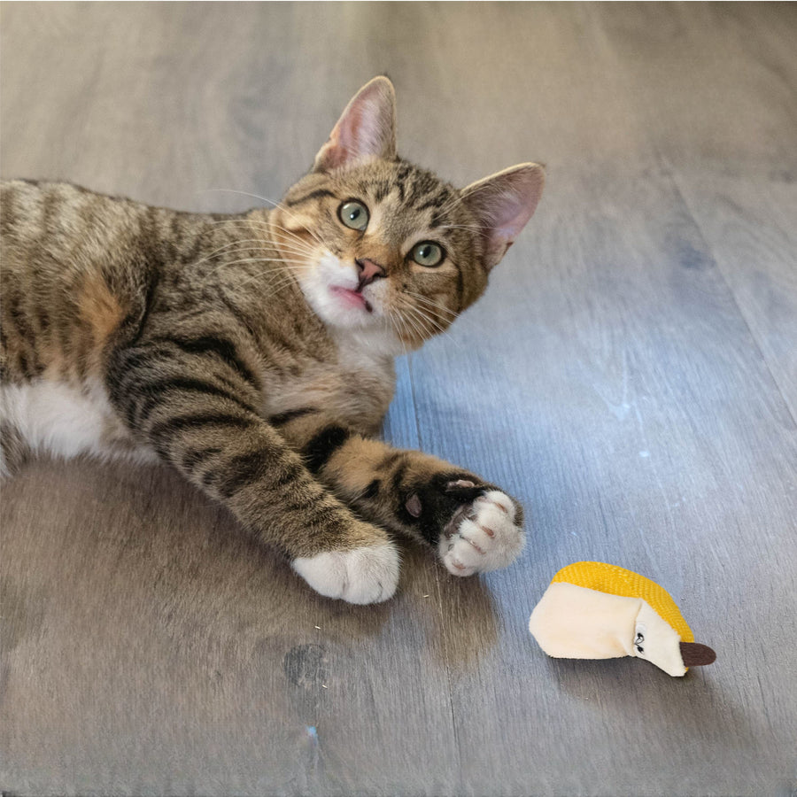 Dental Banana Cat Toy
