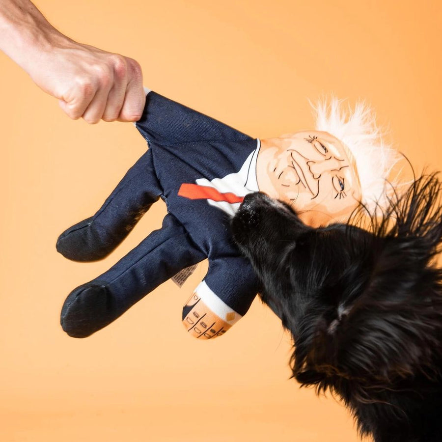 Donald Dog Toy