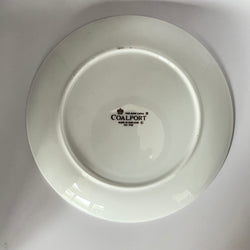 Vintage Plate Persian Cat by Coalport