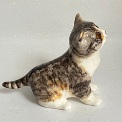 Winstanley Tabby and White Cat - Size 2