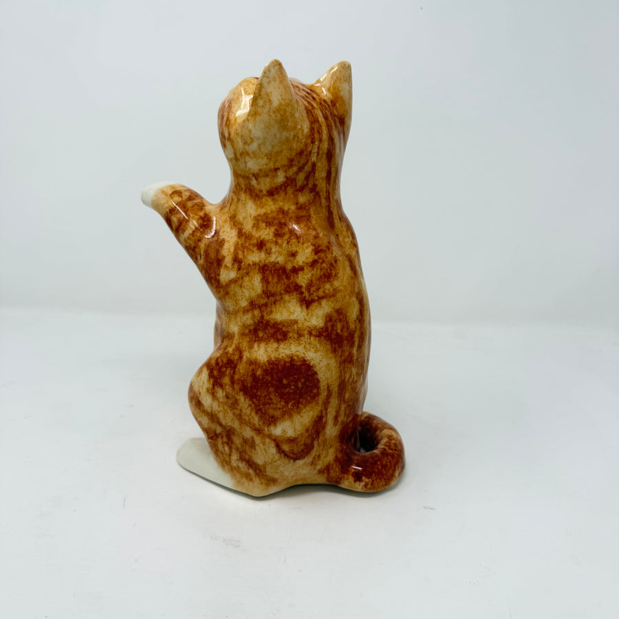 Winstanley Ginger & White Begging Cat - Size 4