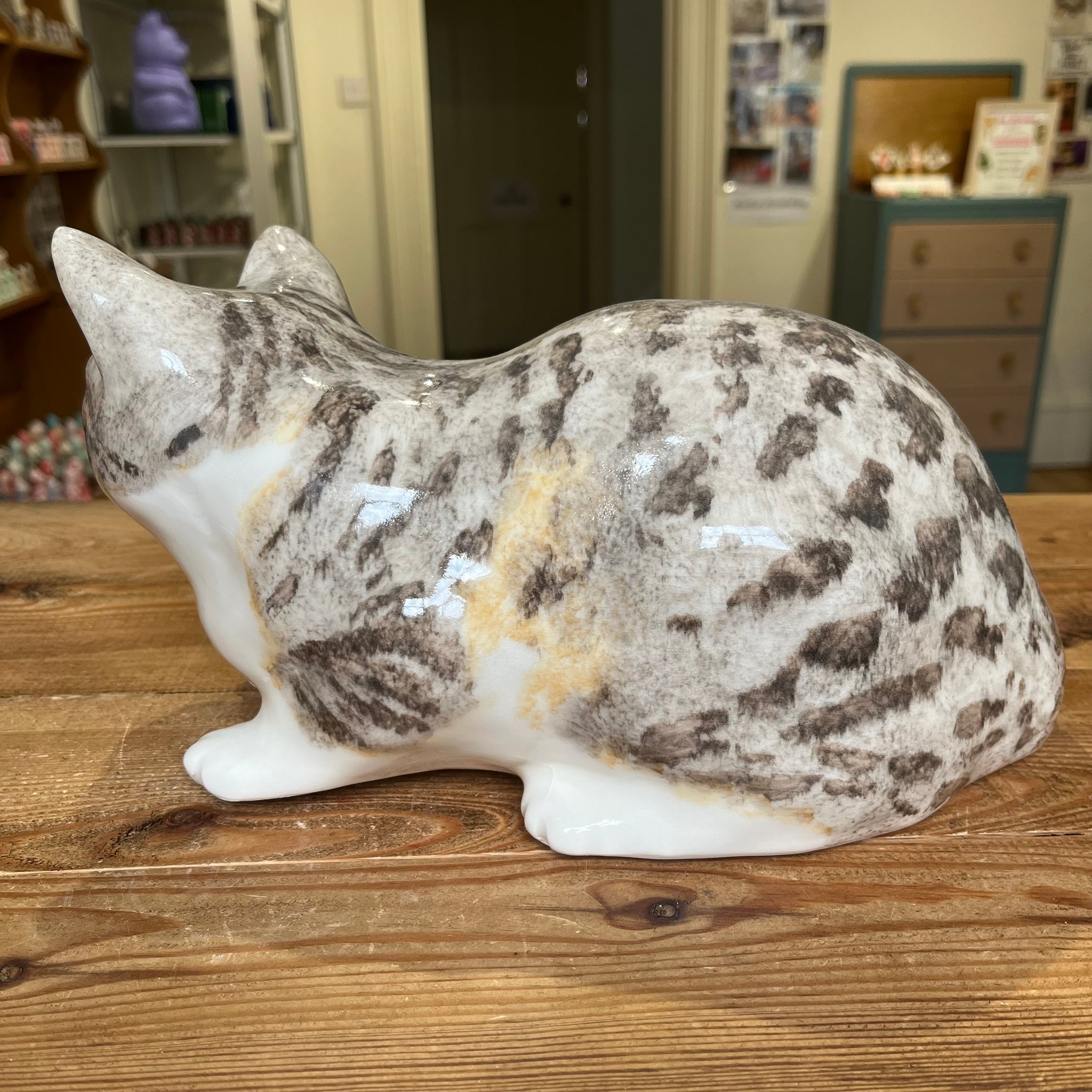 Tabby and White Winstanley Cat - Size 5